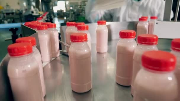 Fabrieksarbeider sorteert flessen melkproduct — Stockvideo