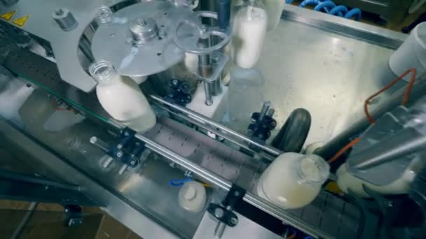 Kapsyler sätts på flaskor. Flaskor med mjölk transporteras av transportören — Stockvideo