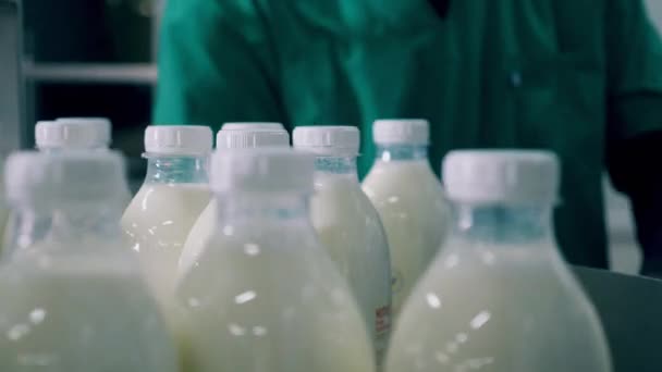 A szállítószalagról eltávolított tejespalackok közelsége — Stock videók