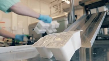İşçi, kemerden süt dolu plastik kutuları çıkarıyor.