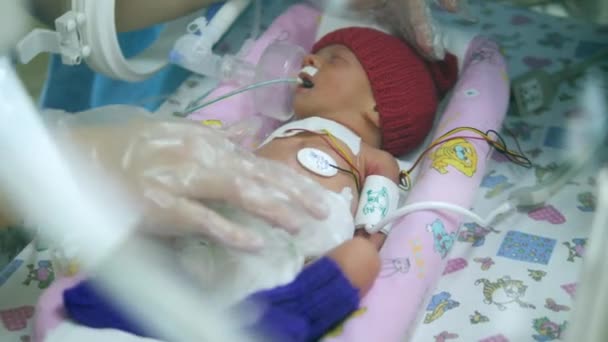 Een persoon raakt een baby aan in een medisch doosje — Stockvideo