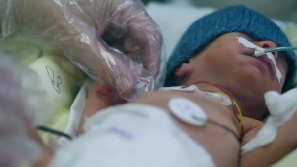 Kleine baby onder medische controle wordt aangeraakt door vrouwelijke hand — Stockvideo