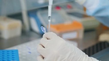 Bir laboratuvar çalışanının ellerinde test tüpü.