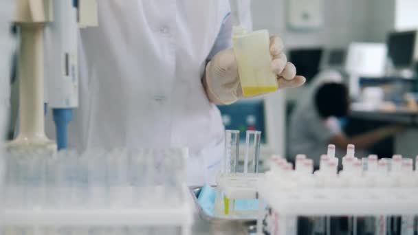 Lo scienziato sta versando del liquido giallo nella vetreria. — Video Stock