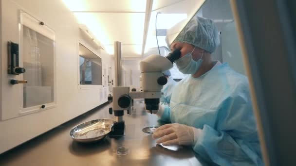 La lavoratrice sta operando un microscopio in laboratorio — Video Stock