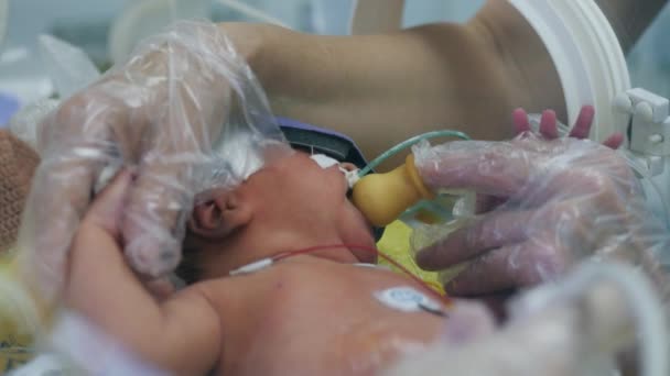 의료 상자 안에 있는 아기에게 젖꼭지를 주고 있다 — 비디오