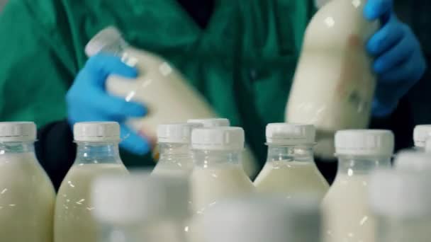 Person takes bottles with milk from a working conveyor. — Stockvideo