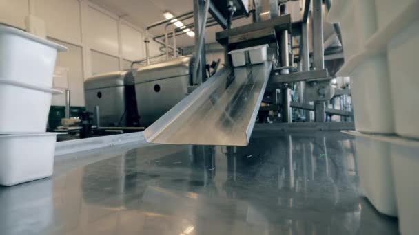 Persoon neemt pak met yoghurt van een transportband in een fabriek. — Stockvideo