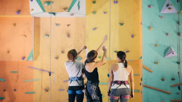 Mannelijke instructeur laat twee dames zien hoe je een simulatiewand moet beklimmen. — Stockvideo