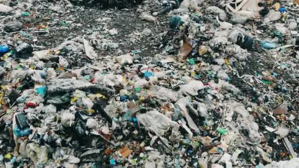 Много мусора на свалке зимой . — стоковое видео