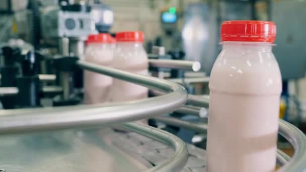 Yogur blanco en botellas en una línea de fábrica. Equipos automatizados para la producción y el embalaje de alimentos y bebidas . — Vídeos de Stock