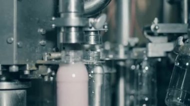 Fabrika makinesi şişeleri yoğurtla doldurur. Bir gıda fabrikasında otomatikleştirilmiş üretim hattı.