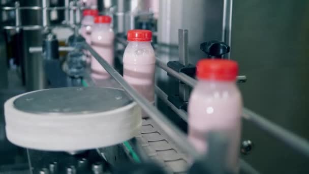 Plastflaskor med yoghurt på en fabrikslinje. — Stockvideo