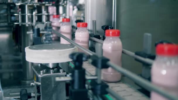 Пляшки з йогуртом, що рухаються на конвеєрі . — стокове відео