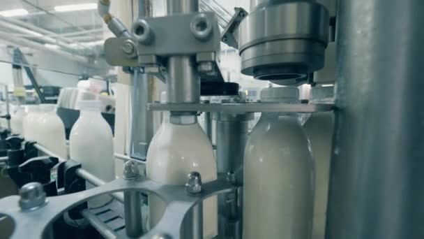 Plant machine bindt doppen op melkflessen — Stockvideo