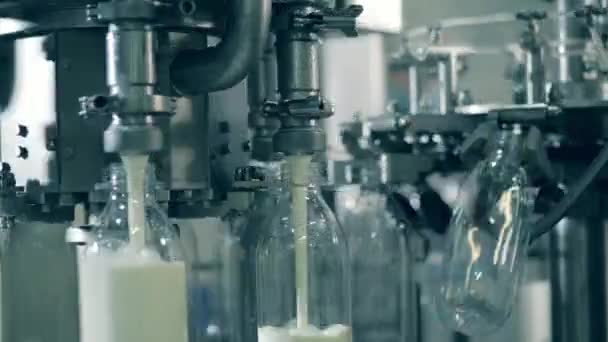 Taze süt fabrika konveyöründen şişelere dökülüyor. — Stok video