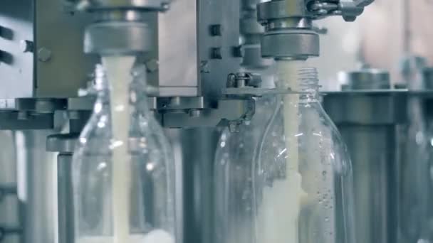 Il trasportatore della fabbrica sta filando e riempiendo le bottiglie di latte. Processo automatizzato di riempimento delle bottiglie con latte . — Video Stock