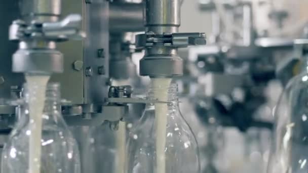 Transportador de fábrica está llenando botellas con leche pasteurizada — Vídeo de stock