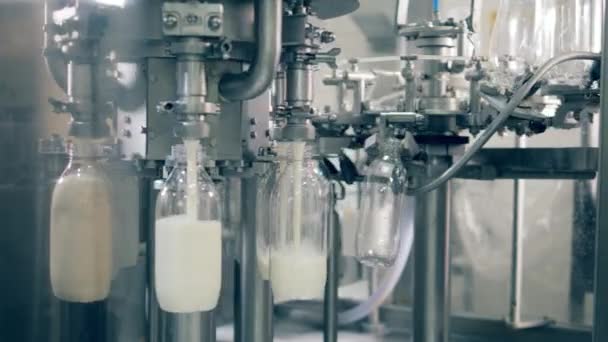 El transportador giratorio está vertiendo leche fresca en botellas. Proceso automatizado de llenado de botellas con leche . — Vídeo de stock