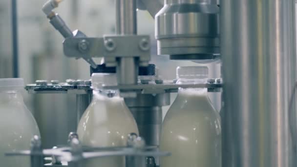Het mechanisme van de fabriek sluit de melkflessen. Apparatuur voor bottelarijen. — Stockvideo