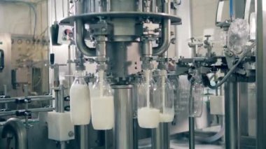 Şeffaf şişeler fabrika kompleksi tarafından sütle dolduruluyor. Plastik şişeleri dolduran endüstriyel fabrika ekipmanları