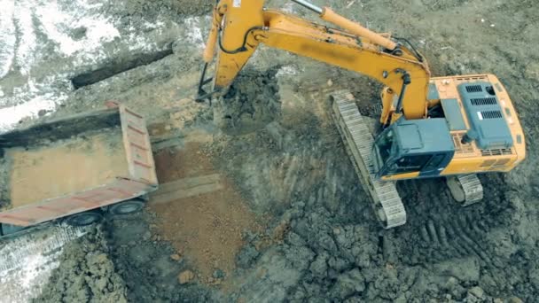 Excavator is collecting soil to pour it into the truck — 비디오