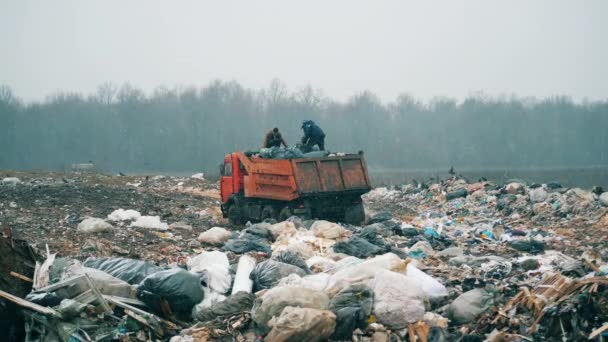 Mensen werken op een vuilnisbelt met een vrachtwagen. — Stockvideo