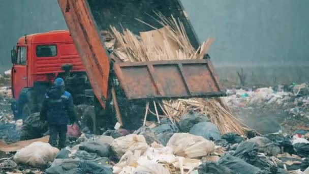 Big dump dengan banyak kantong sampah . — Stok Video