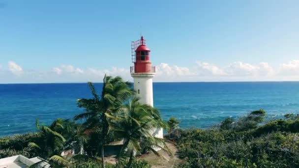 Paysage marin avec un phare entouré de palmiers — Video
