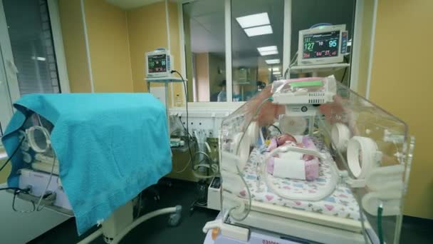 Medical incubators with infants and necessary equipment — 비디오