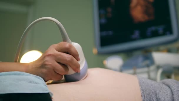 Detector médico durante un escaneo ultrasónico — Vídeos de Stock