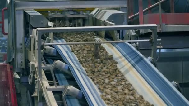 Las rocas picadas se mueven a lo largo de la máquina de procesamiento — Vídeo de stock