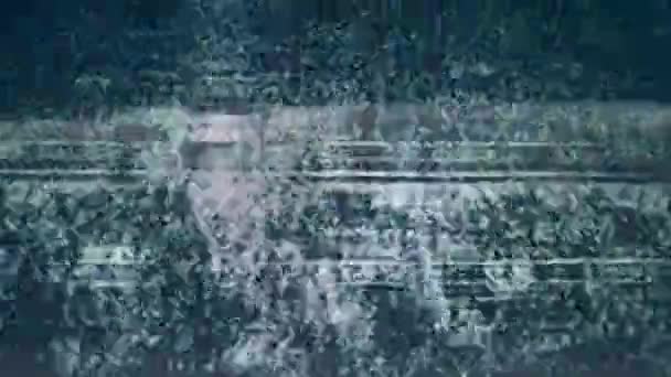 Real glitch, noise on a tv screen. Glitches on a black and white TV-display — 图库视频影像