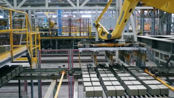 Moderne fabrieksmachine verplaatst bakstenen — Stockvideo