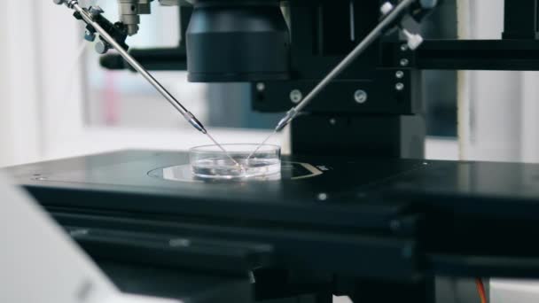 La máquina médica trabaja con muestras en laboratorio . — Vídeo de stock