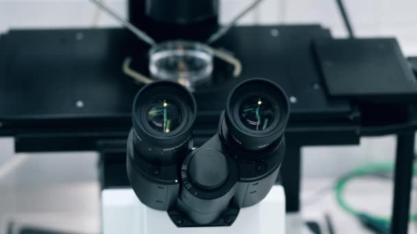 Microscope moderne dans un laboratoire clinique . — Video