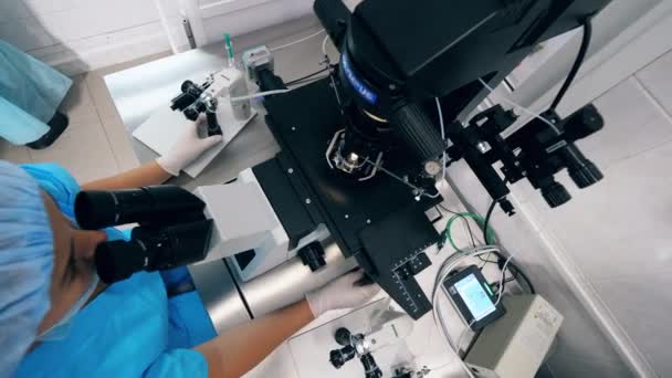 Il lavoratore di laboratorio utilizza il microscopio durante la fecondazione in vitro . — Video Stock