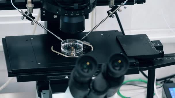 Microscopio funzionante in clinica moderna . — Video Stock