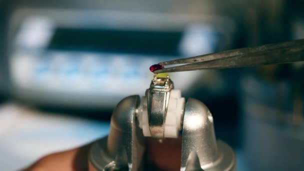 Juwelier, goudsmid zet rode edelsteen op een ring. — Stockvideo