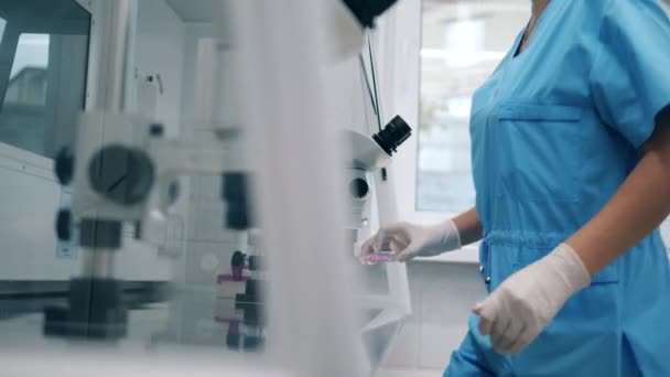 Inseminação artificial em um laboratório médico moderno. Uma pessoa trabalha em laboratório, realizando fertilização artificial . — Vídeo de Stock