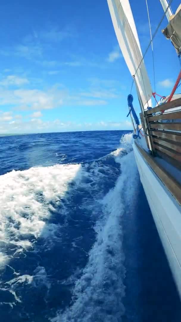 Perpendicular view of a sailing boat in the ocean — Stock Video