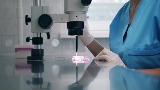 Una mujer utiliza herramientas médicas y, trabajando en el laboratorio del hospital. Inseminación artificial en un laboratorio científico . — Vídeos de Stock