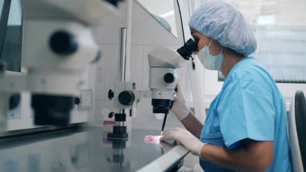 La doctora trabaja con microscopio médico durante la fertilización artificial. Inseminación artificial en un laboratorio científico . — Vídeos de Stock
