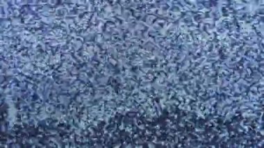 Vhs kusurları, TV gürültüsü, objeleri izlemek, gerçek arızalar. Video görüntüsü parazitlerle dalgalanıyor