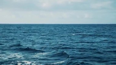 Dalgalı mavi deniz.