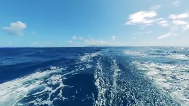 海，有泡沫般的波涛，周围有阳光 — 图库视频影像