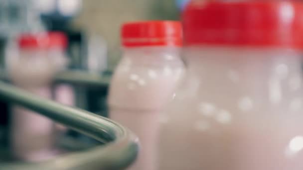 Nahaufnahme von unetikettierten Joghurtflaschen, die sich auf dem Förderband bewegen — Stockvideo