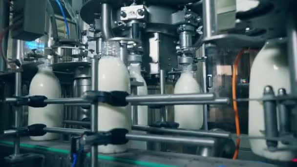 Factory machine is transporting bottles with milk — Stock Video