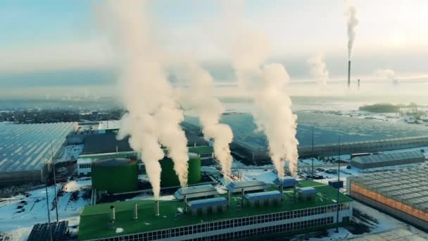 Bedrijfsruimten in de landbouw met opblaasbare rookpluimen — Stockvideo