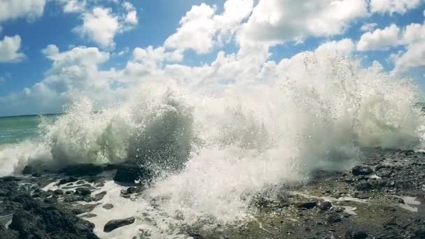 Mouvement lent des vagues de la mer qui s'écrasent le long de la côte 